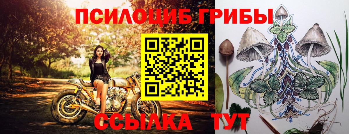 Галлюциногенные грибы прущие грибы  где купить наркотик  Скопин  Вход с VPN 