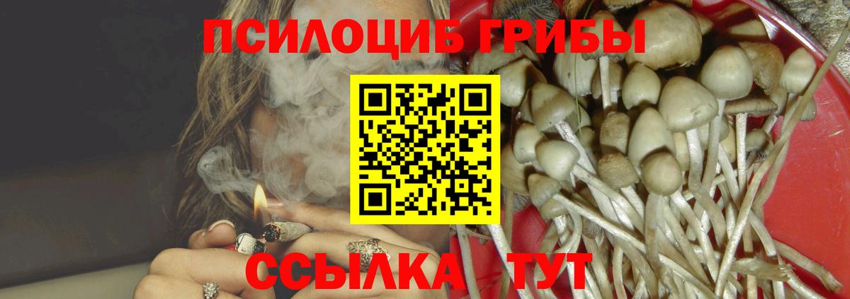 Псилоцибиновые грибы прущие грибы Скопин